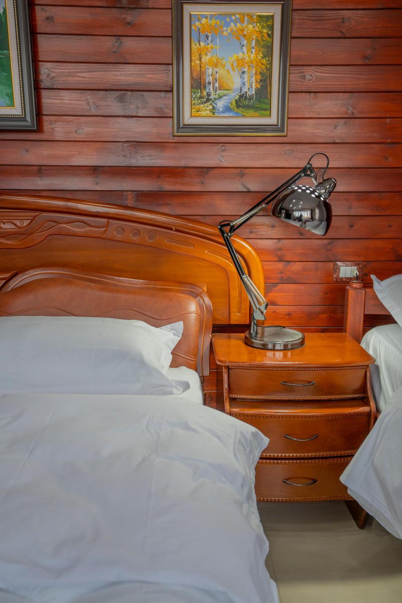 Hotel Carmen Шкодер Экстерьер фото